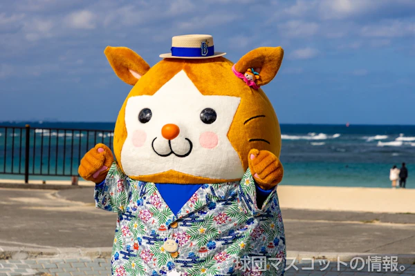 DB.スターマンのサムネイル