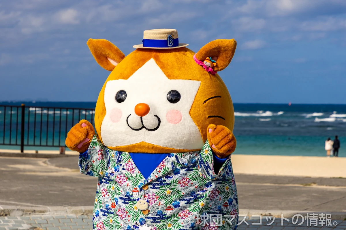 DB.スターマンの画像 1