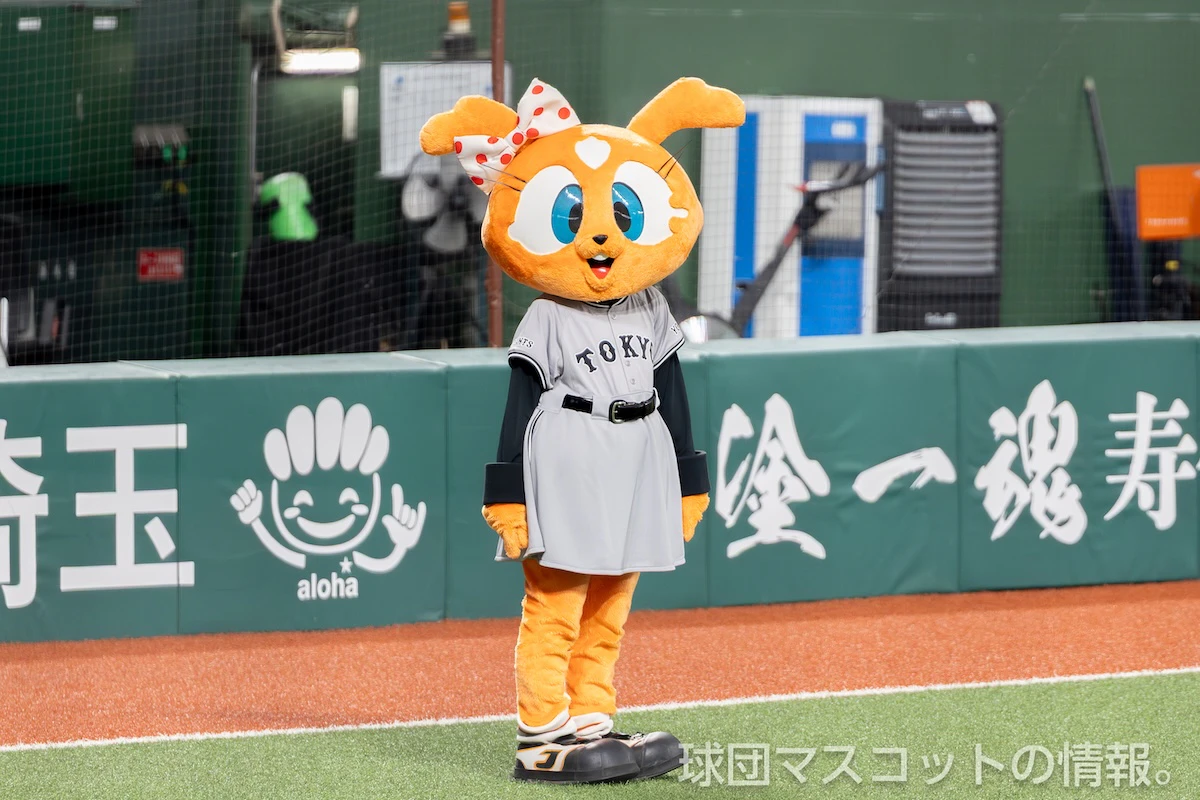 シスタージャビットの画像 9枚目