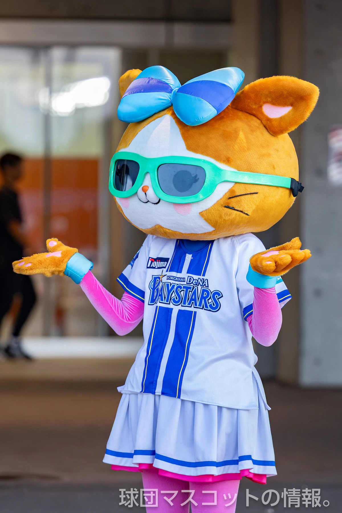 DB.キララの画像 5枚目