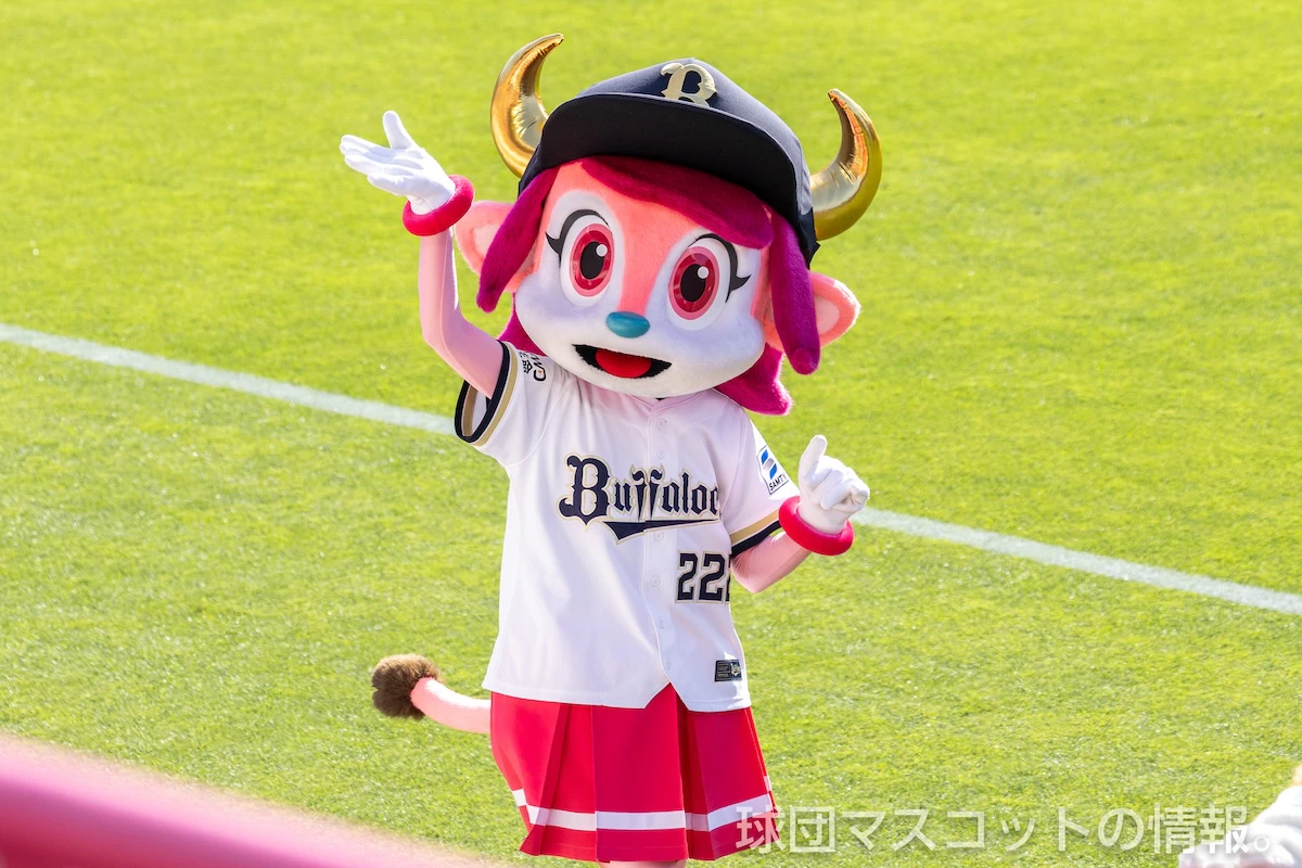 バファローベルの画像 5枚目