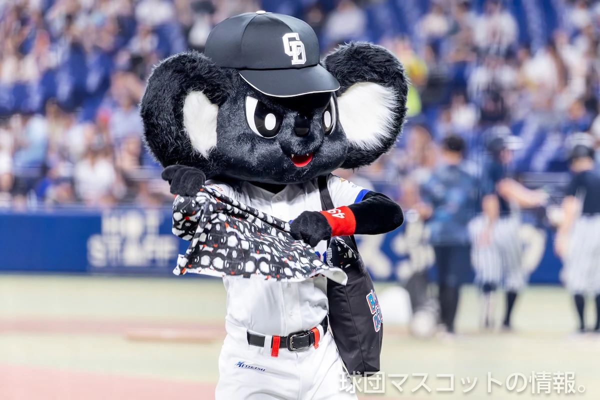 ブラックドアラの画像 2
