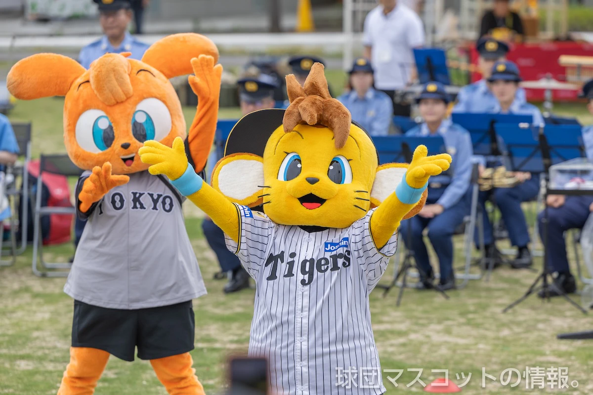 コラッキーの画像 9枚目