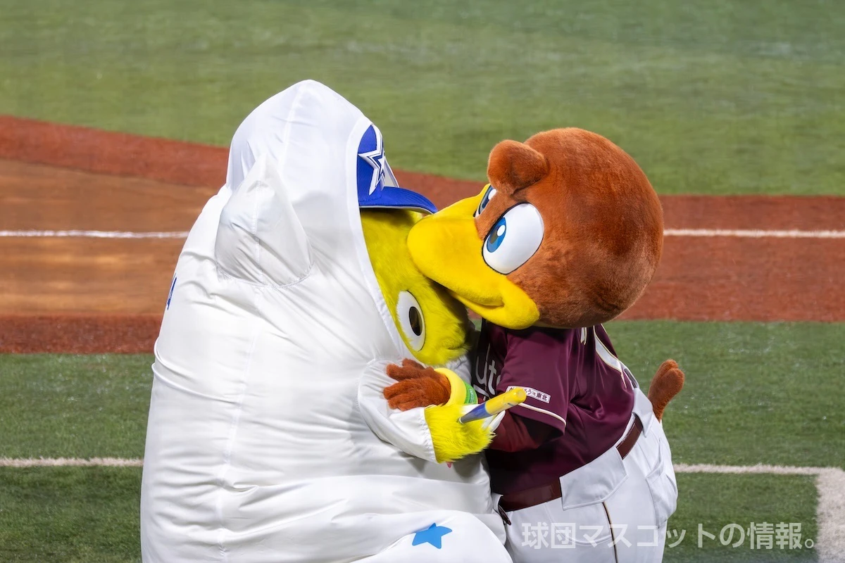 チャピーの画像 2枚目