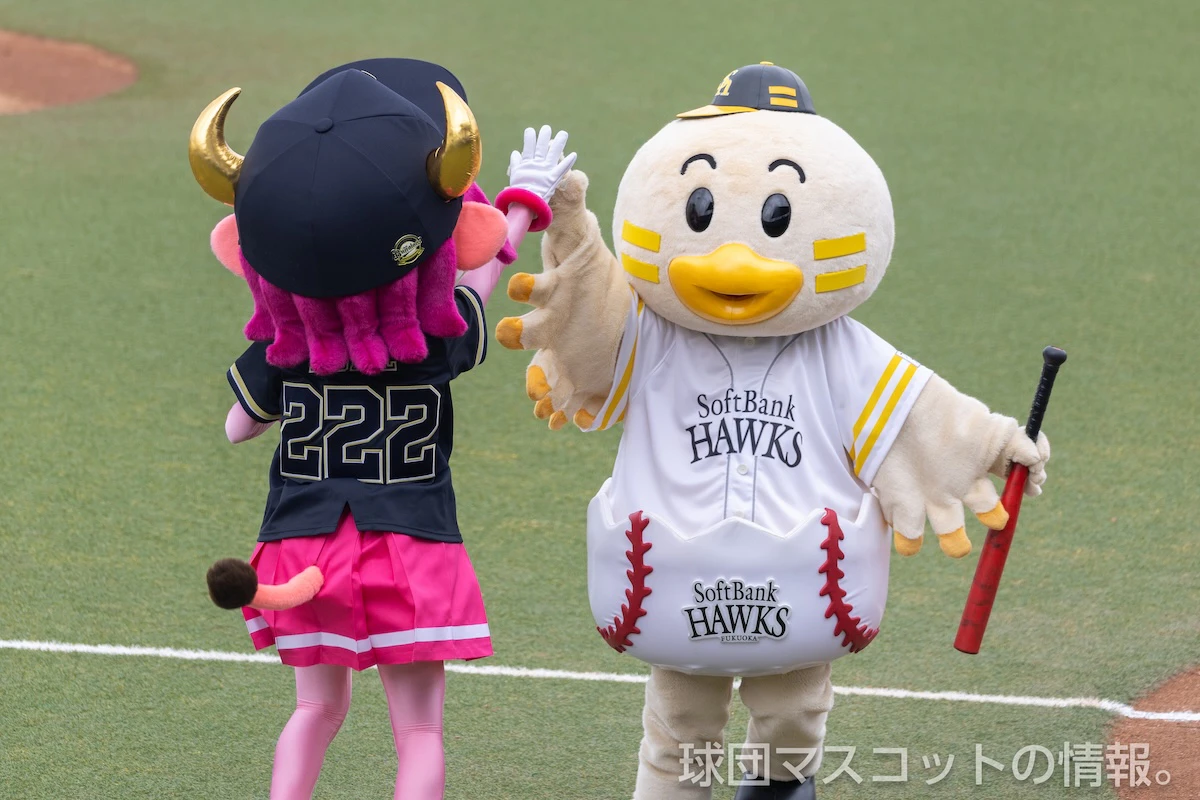 ひな丸の画像 5枚目
