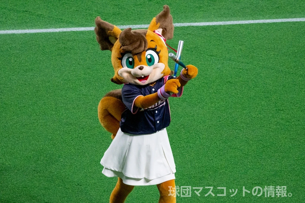 ポリーの画像 12枚目