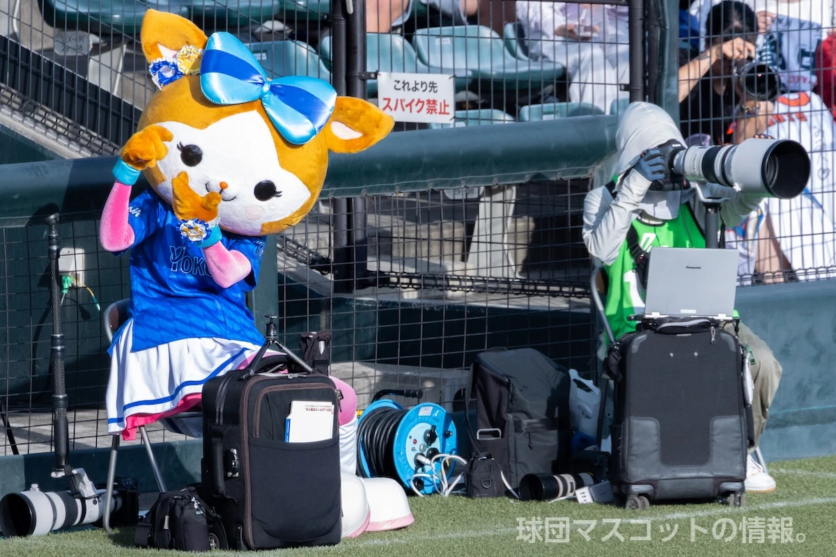 DB.キララの画像 2