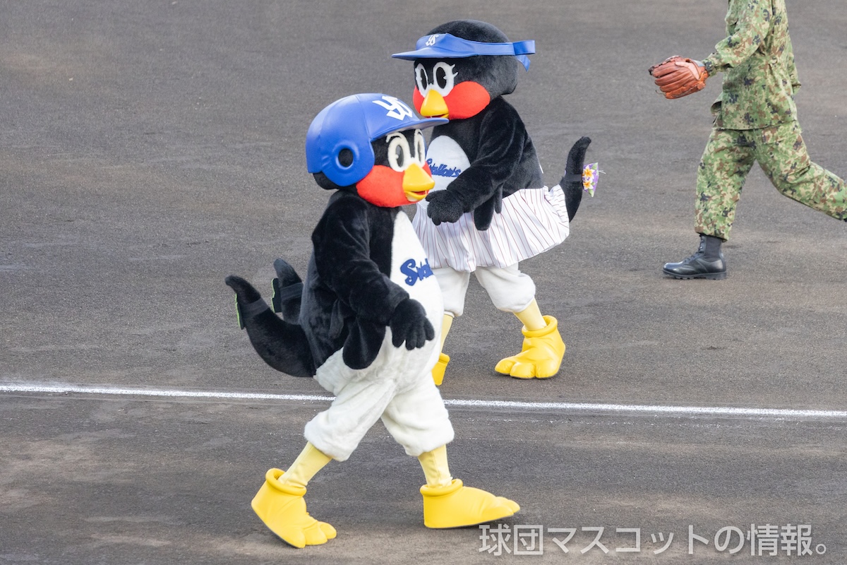 つば九郎のプロフィールと出演カレンダー｜球団マスコットの情報。