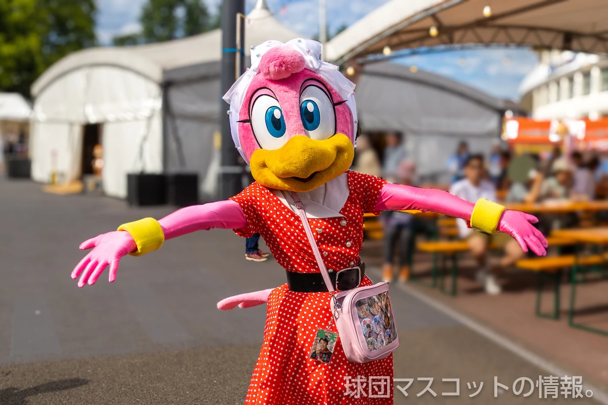 クラッチーナの画像