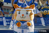 DB.スターマン