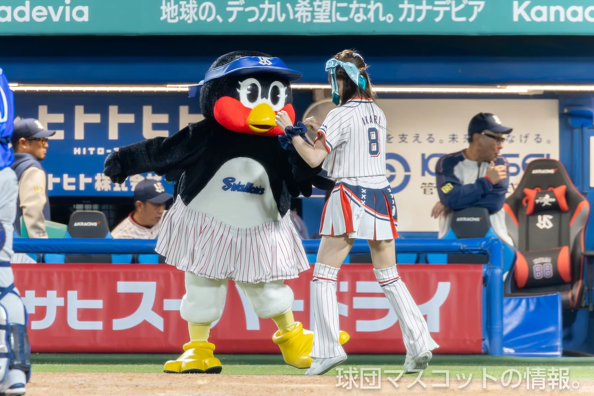 つば九郎、つばみ ヤクルト対DeNA