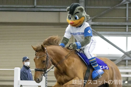 B・Bのサムネイル