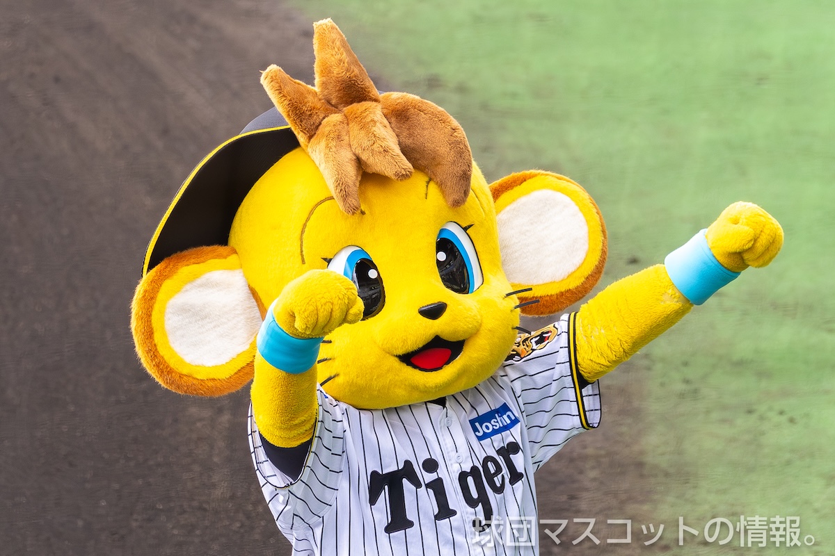 11/23阪神タイガース ファン感謝デー2025(出演：トラッキー、ラッキー