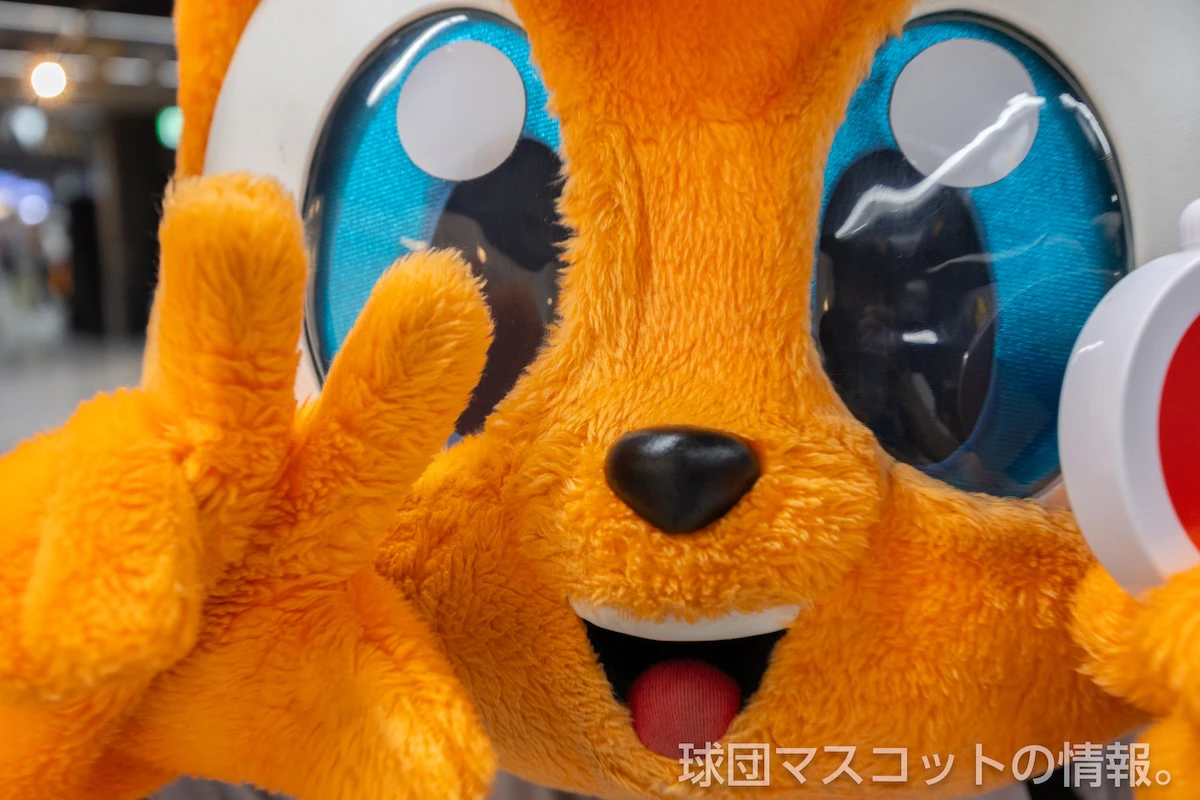 キッズジャビットおとこのこの画像 12枚目
