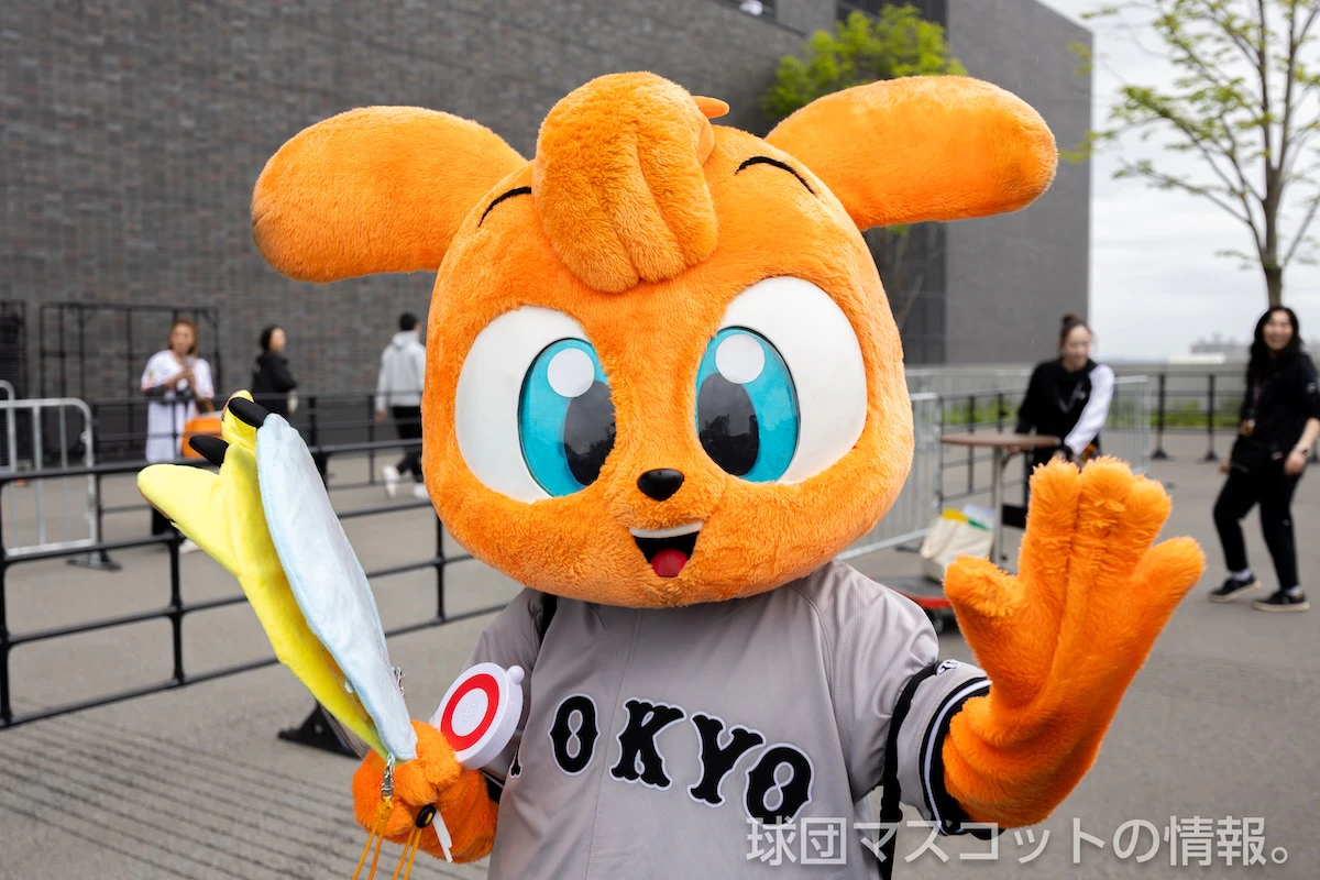 キッズジャビットおとこのこの画像 1枚目