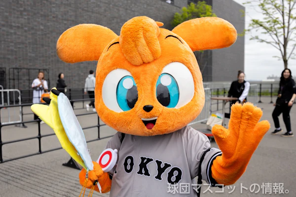 キッズジャビットおとこのこのサムネイル