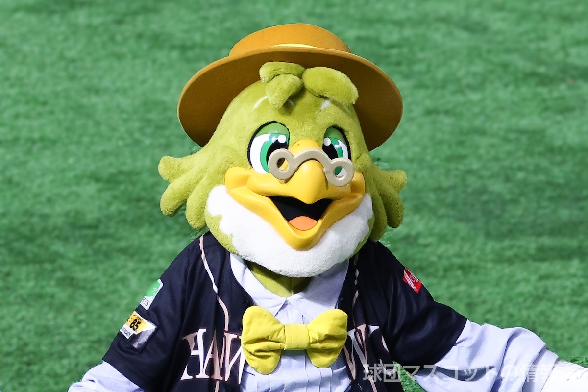 ホンキーホークのプロフィールとスケジュール｜球団マスコットの