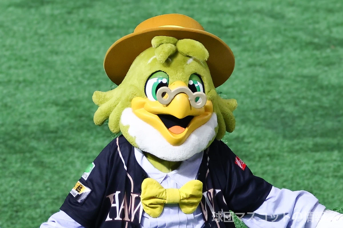 ホンキーホークの画像