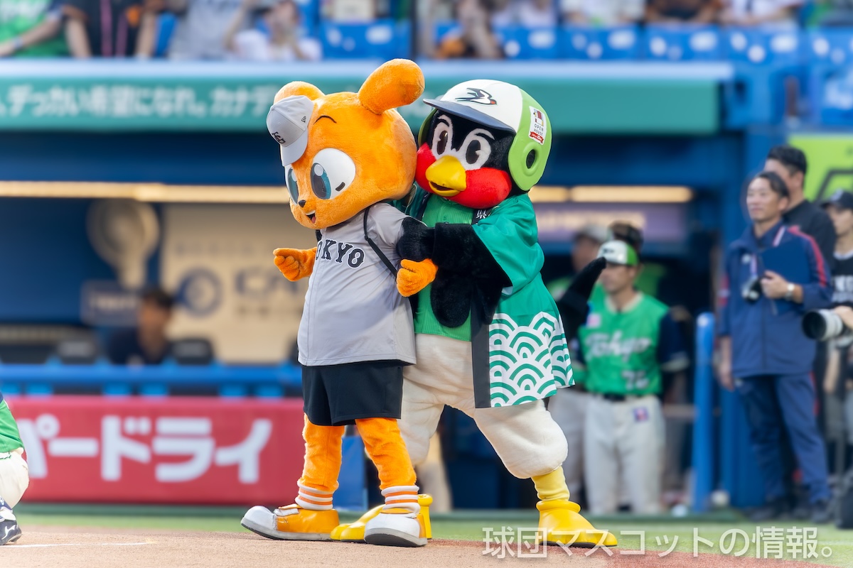 ヤクルト対巨人