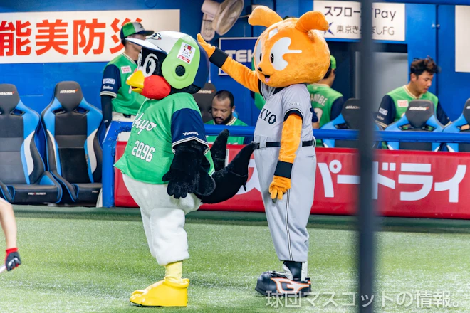 つば九郎、つばみ、555ジャビット ヤクルト対巨人