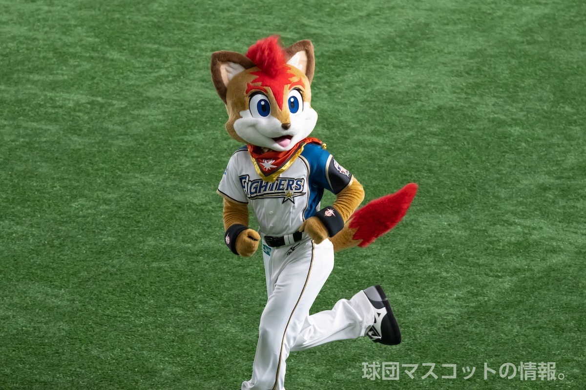 フレップの画像 1