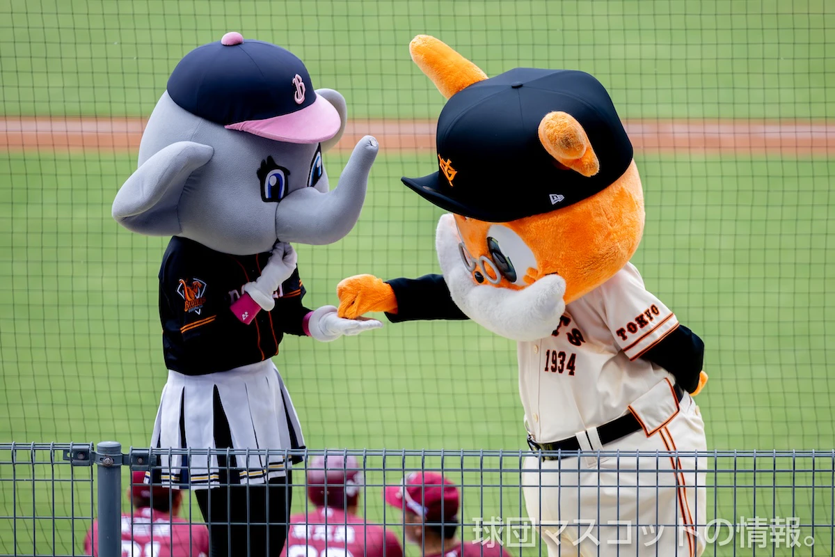 おじいちゃんジャビットの画像 3枚目