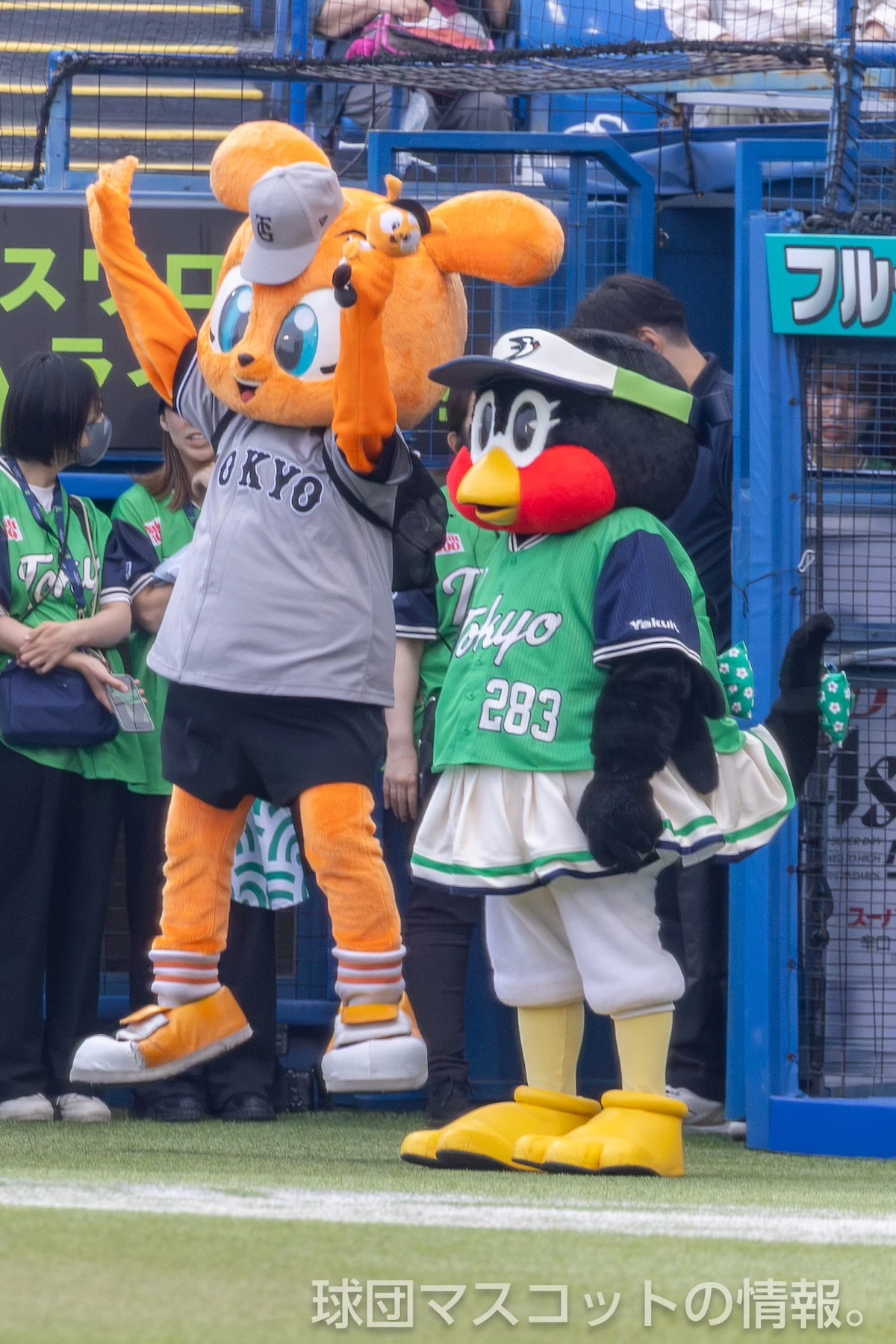 ヤクルト対巨人 7枚目