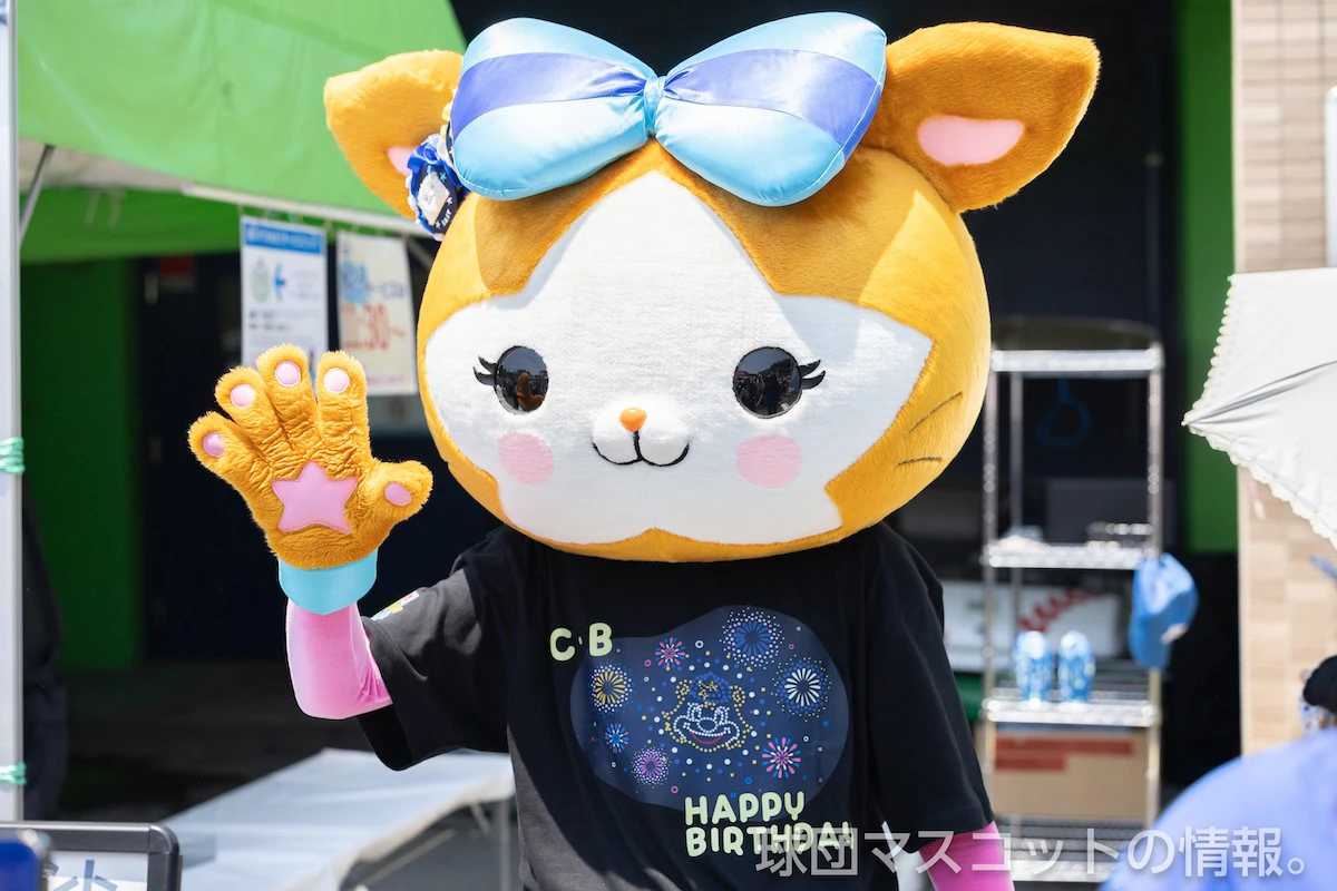 DB.キララの画像 4枚目