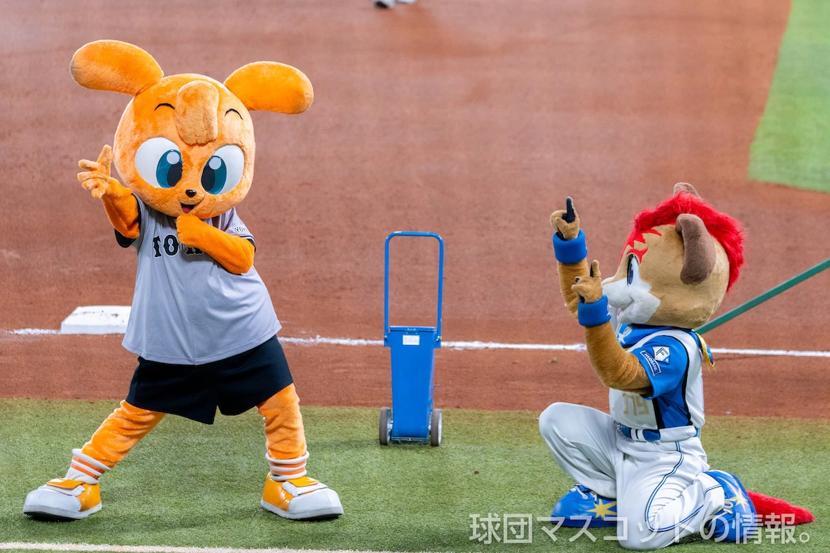 キッズジャビットおとこのこの画像 7枚目