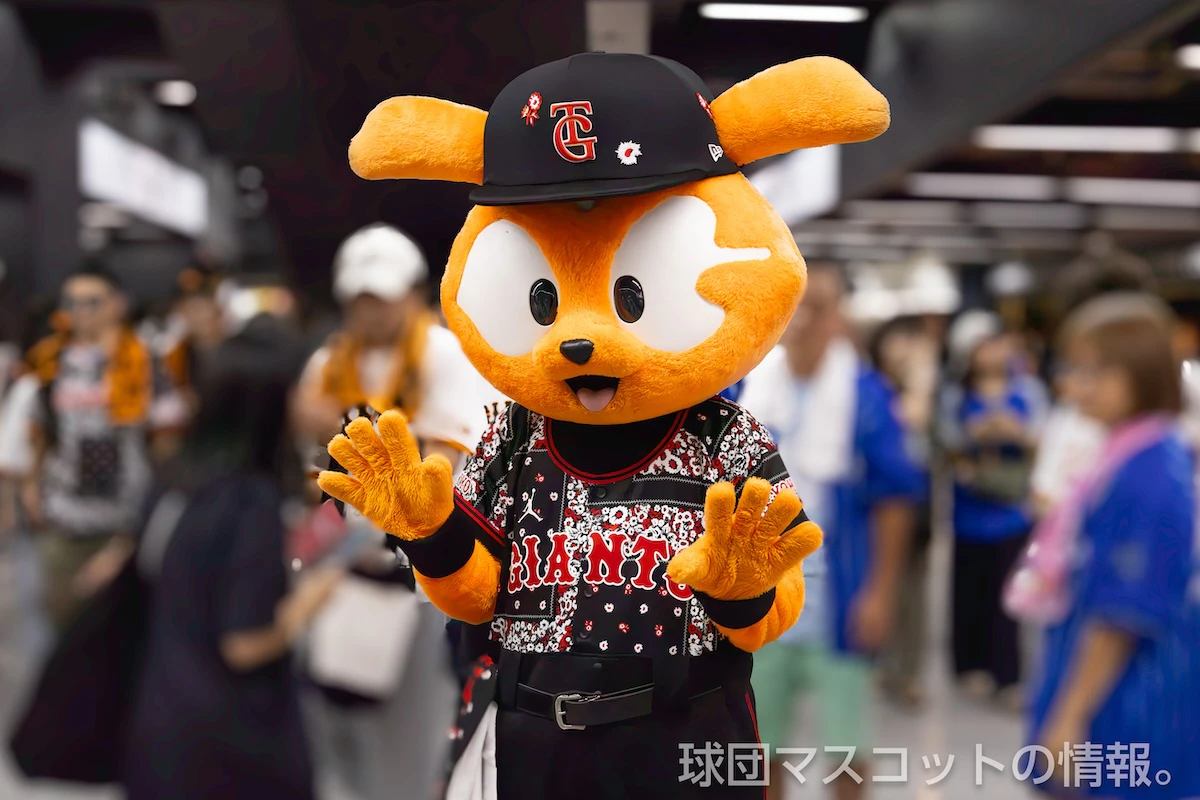 333ジャビットの画像 4枚目