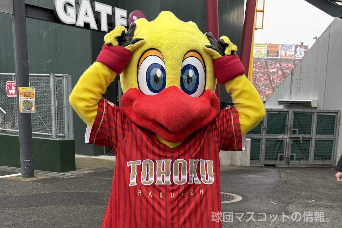 スイッチの画像 4