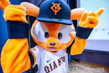 333ジャビット