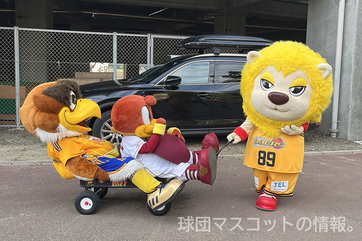 クラッチの画像 10枚目