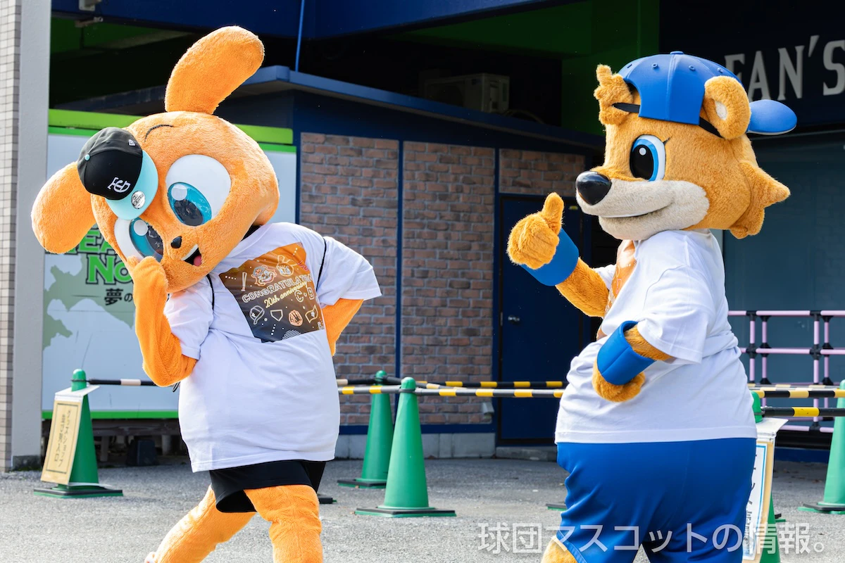 カビー・キッズジャビット グリーティング 3枚目