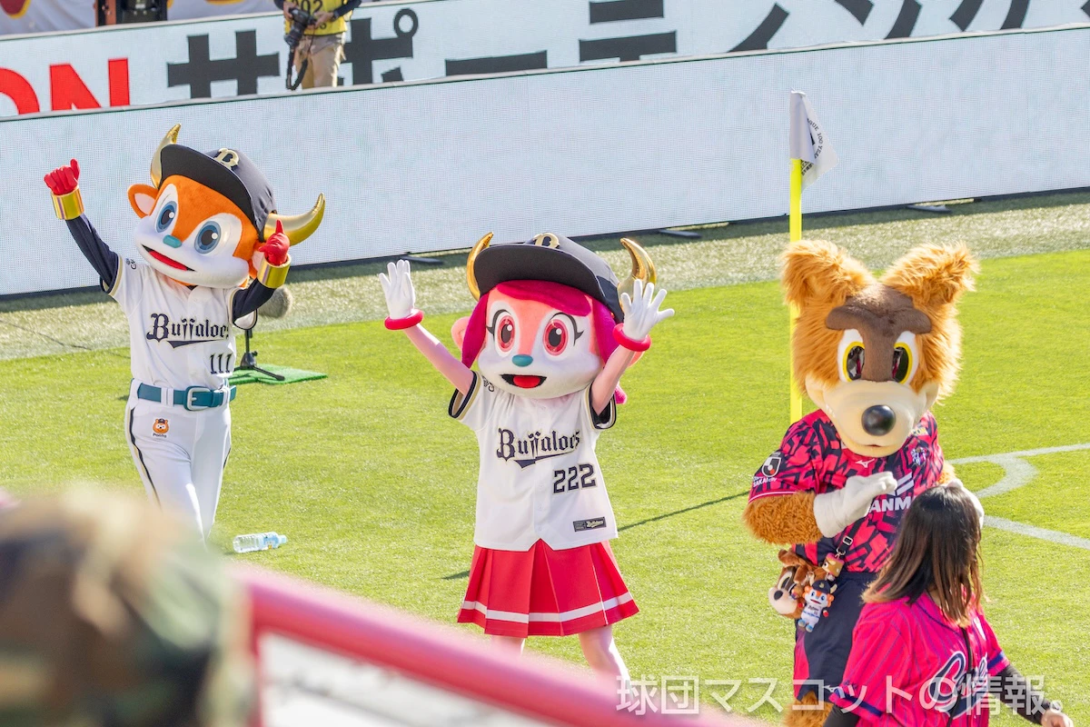 バファローベルの画像 11枚目