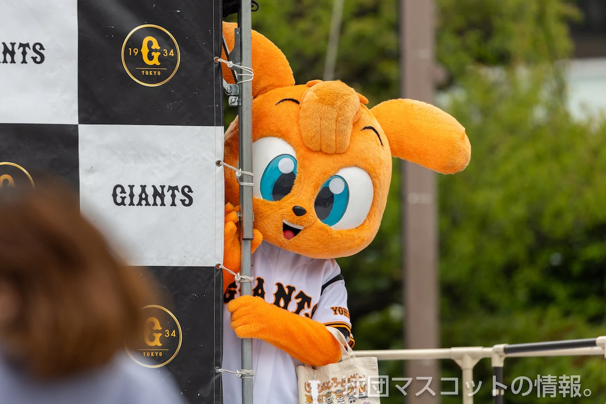 キッズジャビットおとこのこの画像 10枚目