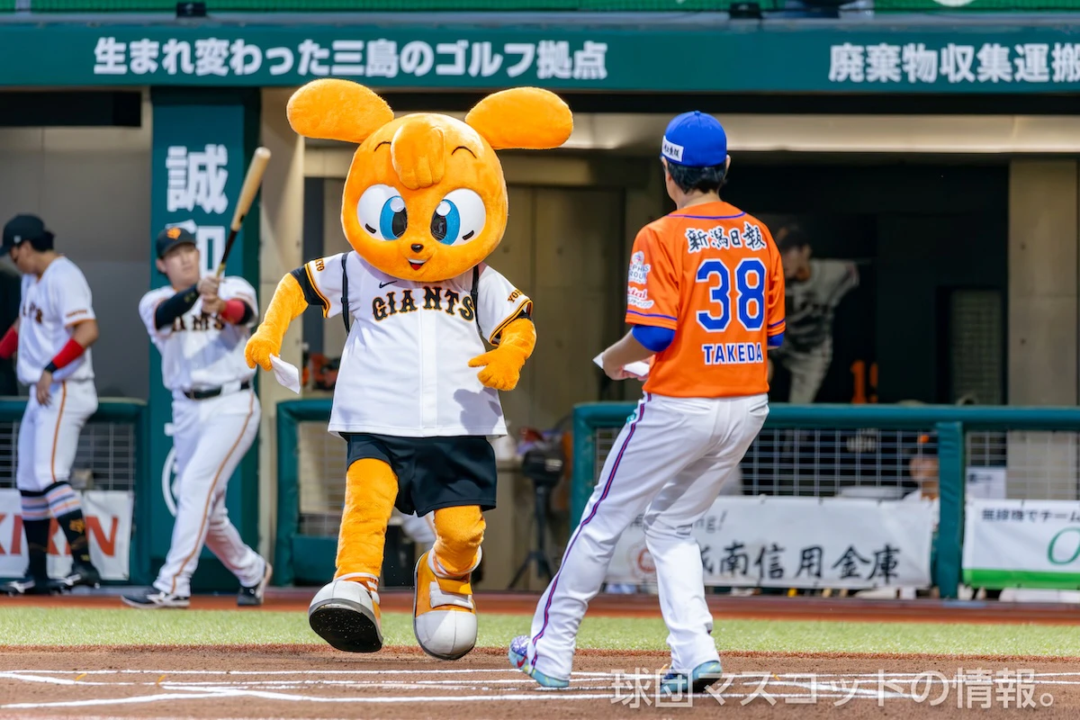 キッズジャビットおとこのこ [ファーム]巨人対オイシックス