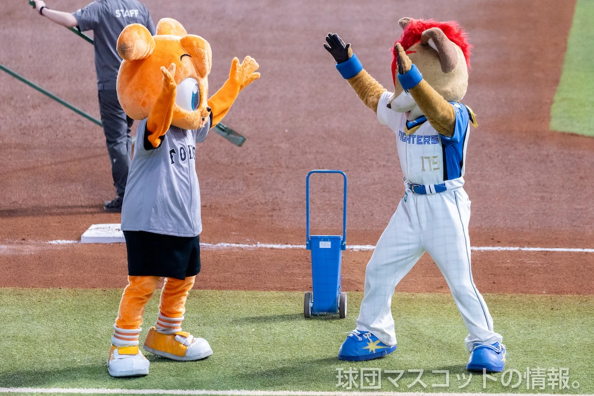 日本ハム対巨人 11枚目