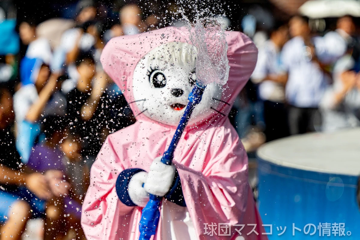 ライナの画像 9枚目