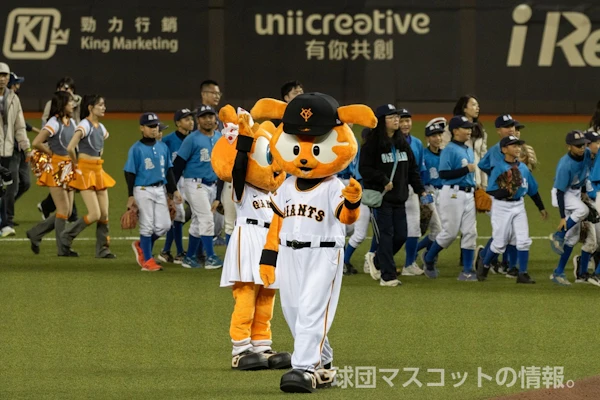 ジャビットのサムネイル