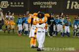 ジャビット
