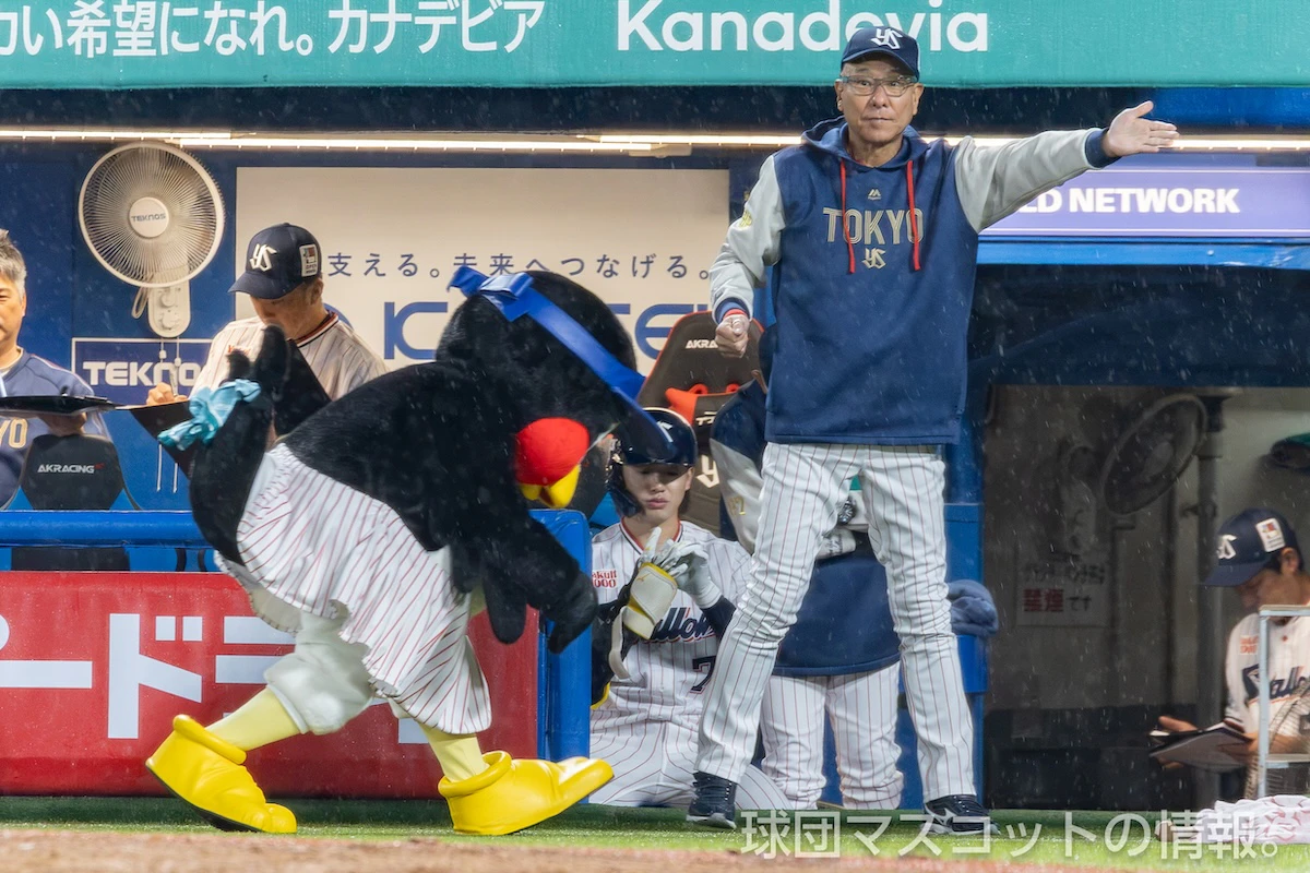 つば九郎、つばみ ヤクルト対中日
