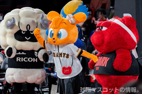 キッズジャビットおんなのこ [バスケB1]A東京対秋田