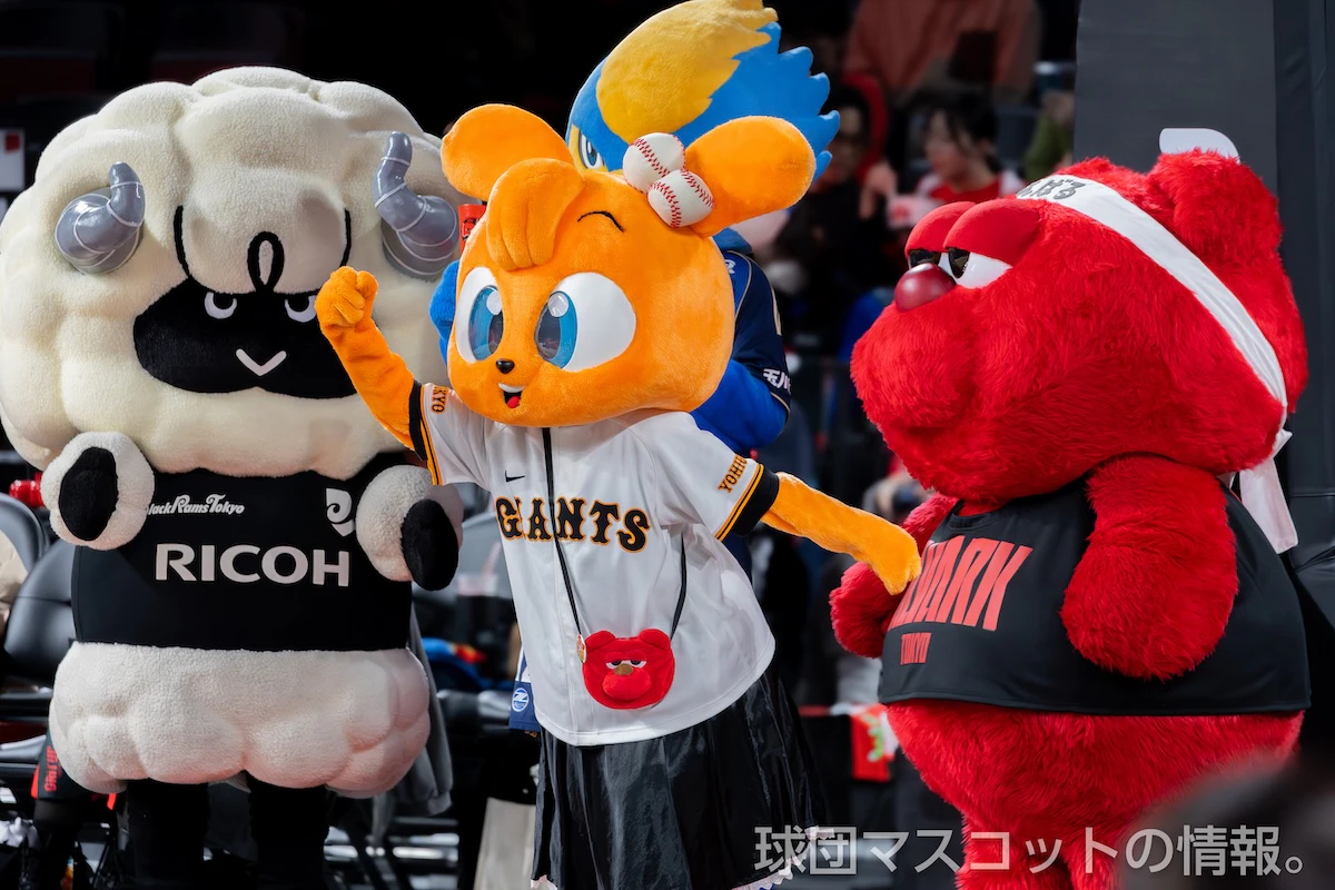 キッズジャビットおんなのこの画像 5