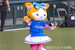 DB.キララ