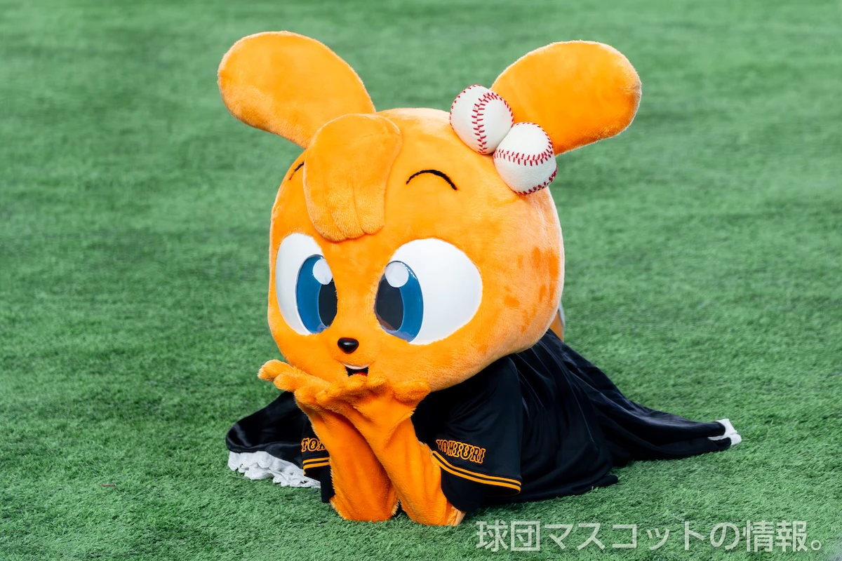 キッズジャビットおんなのこの画像 13枚目