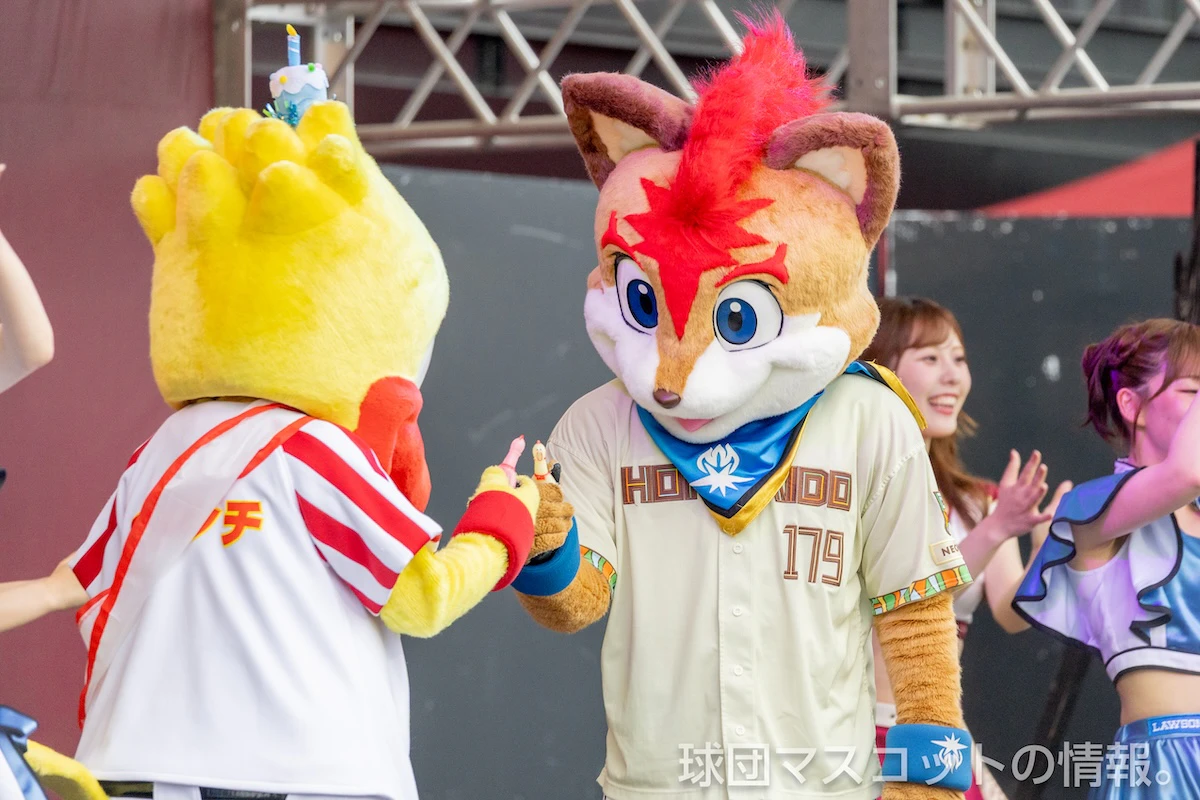 楽天対日本ハム 6枚目