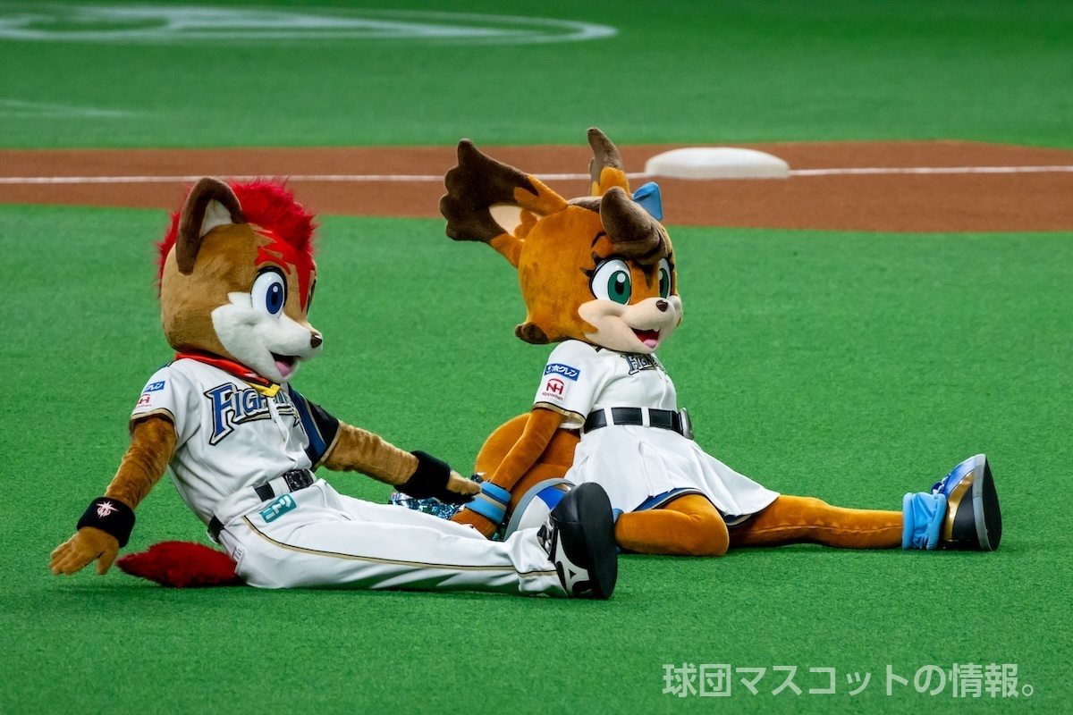 ポリーの画像 3