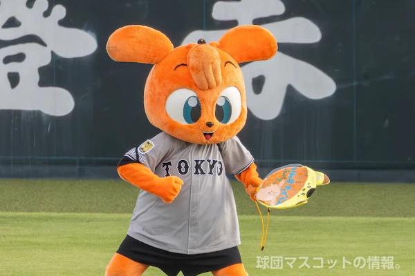 キッズジャビットのサムネイル