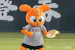 キッズジャビットおとこのこ
